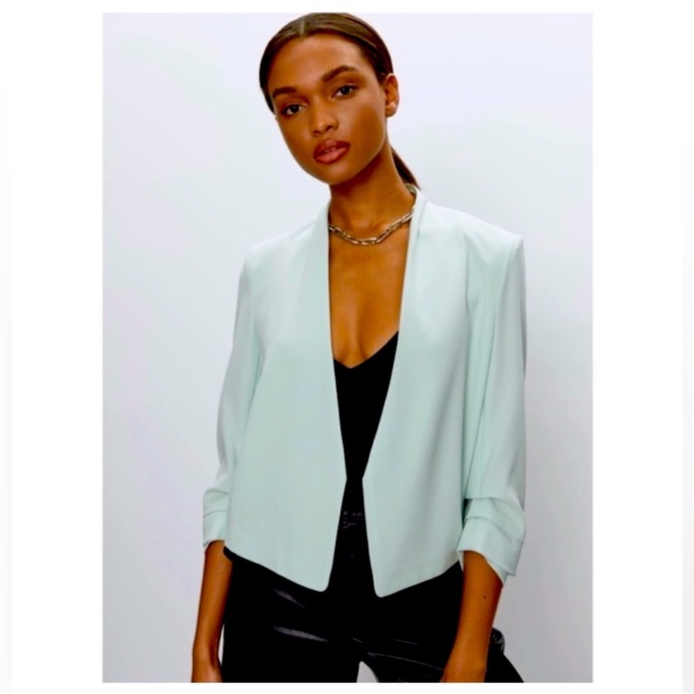 NWT Babaton Power Waist Blazer